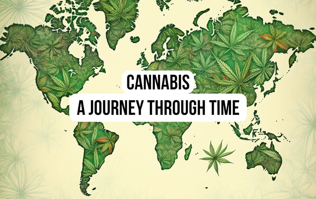 The Ancient Origins, global distribution and Cultivation of Cannabis: A Journey through Time.